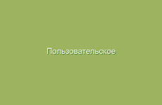 Как шиповник влияет на состояние желудка