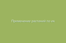 Как делать настоя на травах