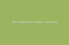 Регенерация почек, лечение почек народными стредствами