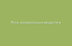 Роль минеральных веществ в питании