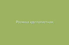 Применение желча в народной медицине