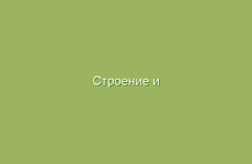 Эфирные масла для чудесного сна