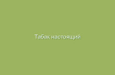 Табак настоящий (папиросный), описание и лечебные свойства табака, применение в народной медицине и лечение табаком