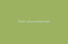 Как справляться с подагрой с помощью масел
