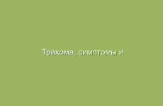 Мелисса и ее успокаивающие свойства