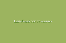 Полезные свойства барбариса в народной медицине