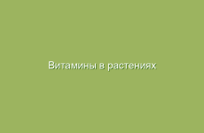 Витамины в растениях